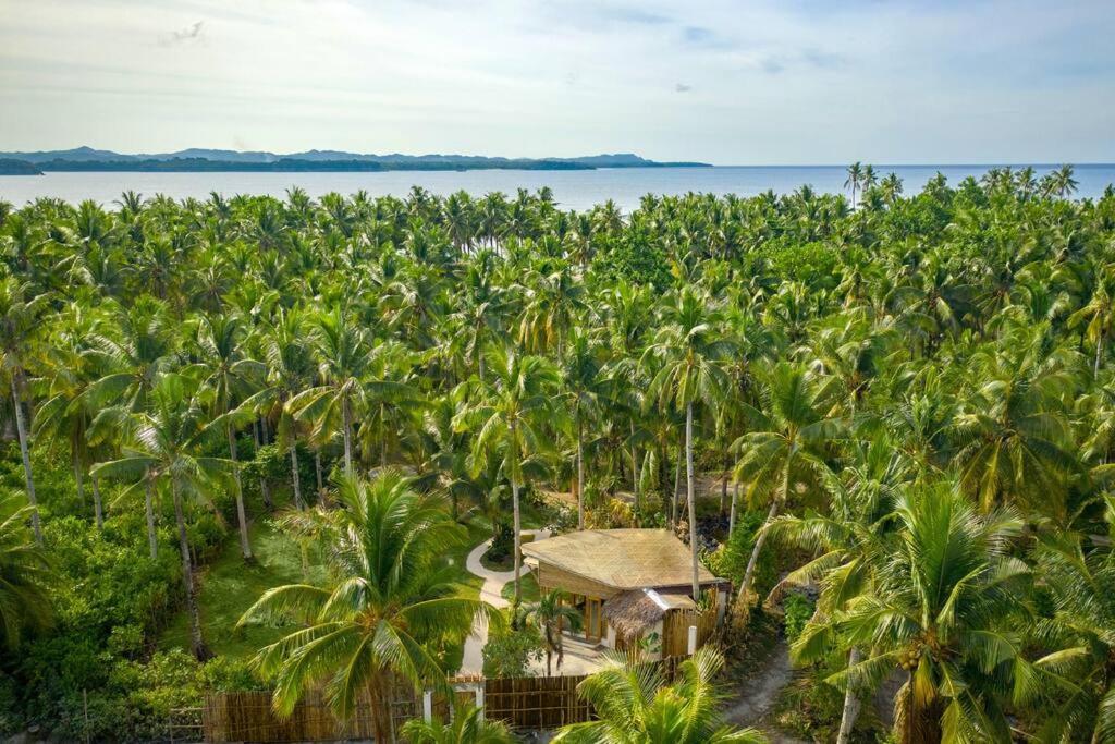 The Bamboo Houses - Tropical Garden & Empty Beach General Luna  Exterior foto